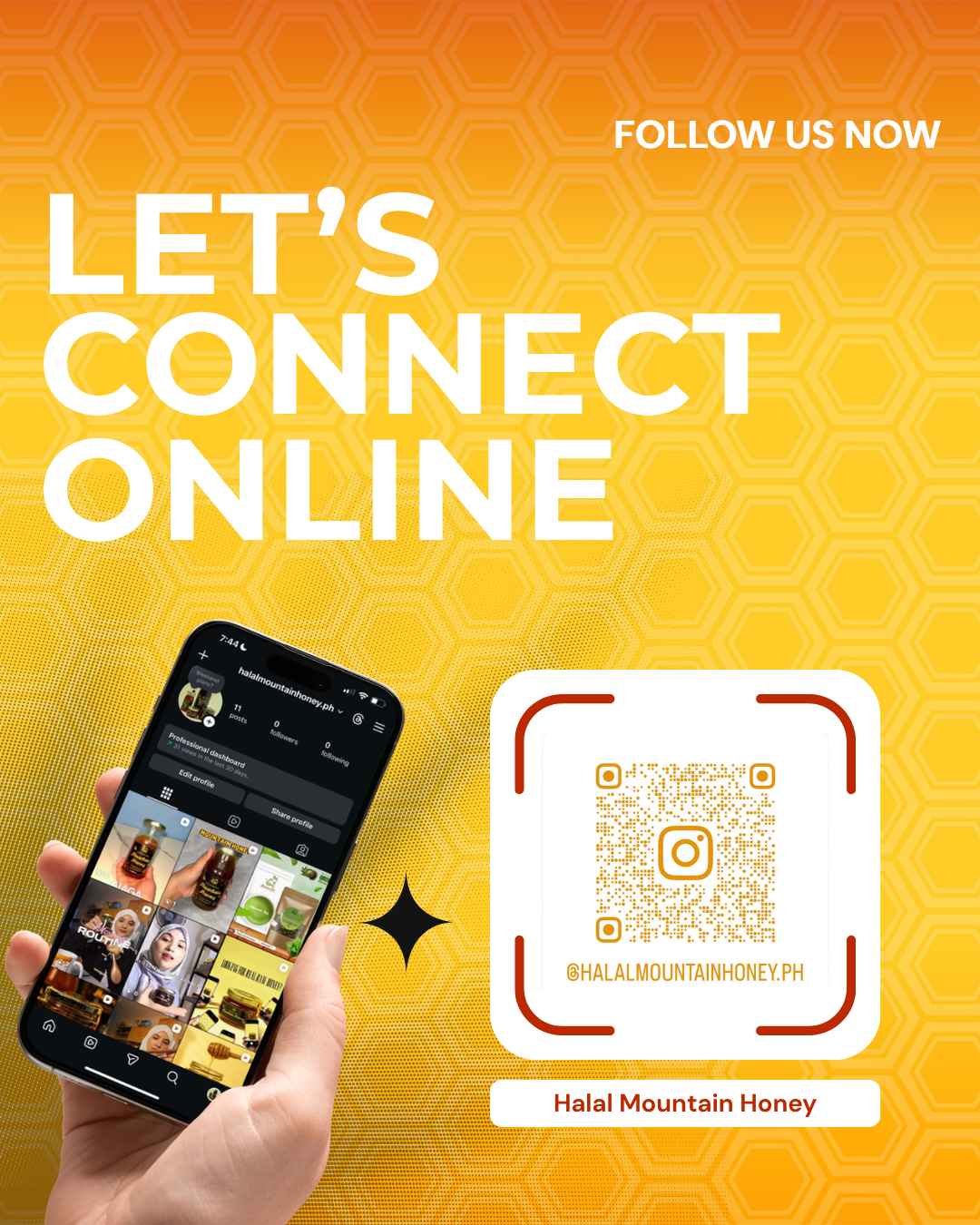 Instagram Follow Promo